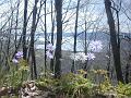 014 lago di vico1